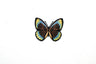 Butterfly Applique Monarch Orange 3 x 2