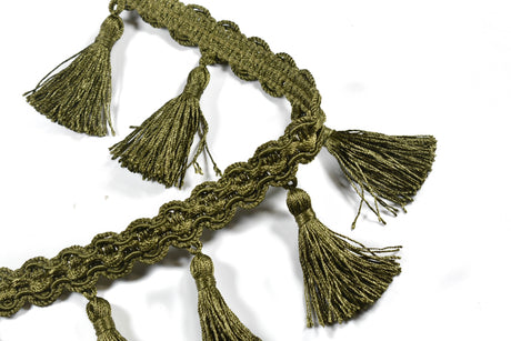 Tassel Trim Embroidered Fringe