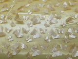 1 Yard Gold 3D Butterfly Embroidered Mesh Tulle Fabric for Dresses & Decorations, 54" Wide