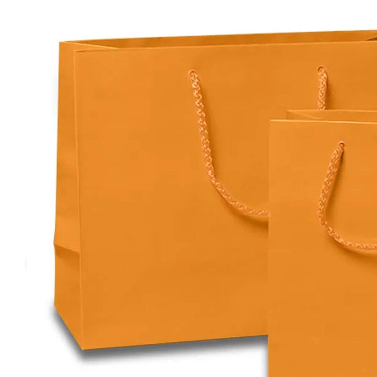 Small Yet Stunning: Glossy Euro Totes 16'' x 6'' x 12''