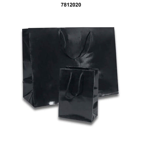 Compact Colored Glossy Totes 5 1/2'' x 2 1/2'' x 5'' for Elegant Gifting