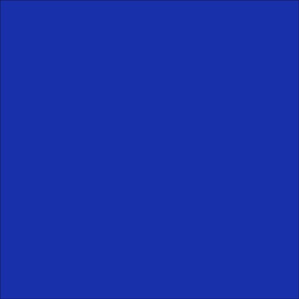 Oracal 631 Exhibition Vinyl 24 Inch Roll