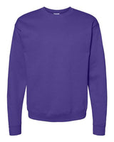 Hanes® Ecosmart Long Sleeve Crewneck Sweatshirt