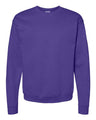 Hanes® Ecosmart Long Sleeve Crewneck Sweatshirt