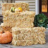 20" x 8" FloraCraft ® Decorative Straw Hay Bale Block