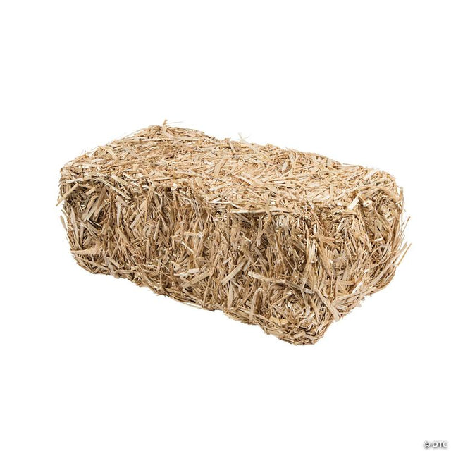 20" x 8" FloraCraft ® Decorative Straw Hay Bale Block