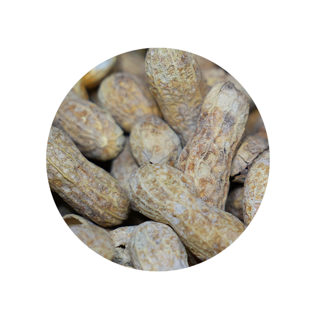 Bulk Foods - Salted Peanuts w/Shell - Bulk Bin 2031 (25 pounds)
