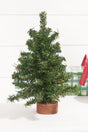 12" Unlit Canadian Pine