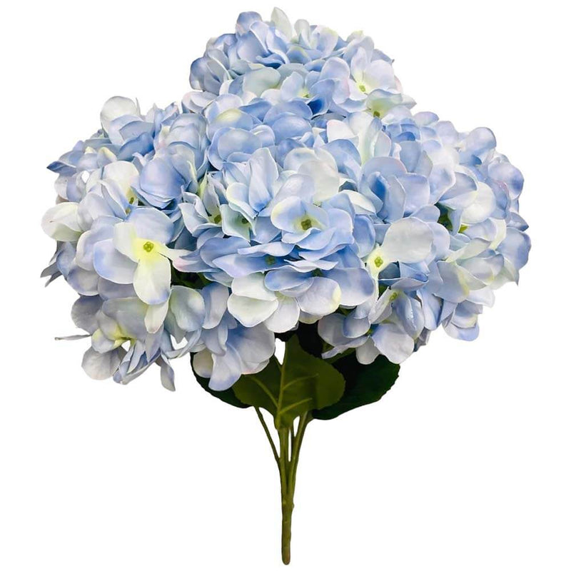 Hydrangea Bush Blue & White