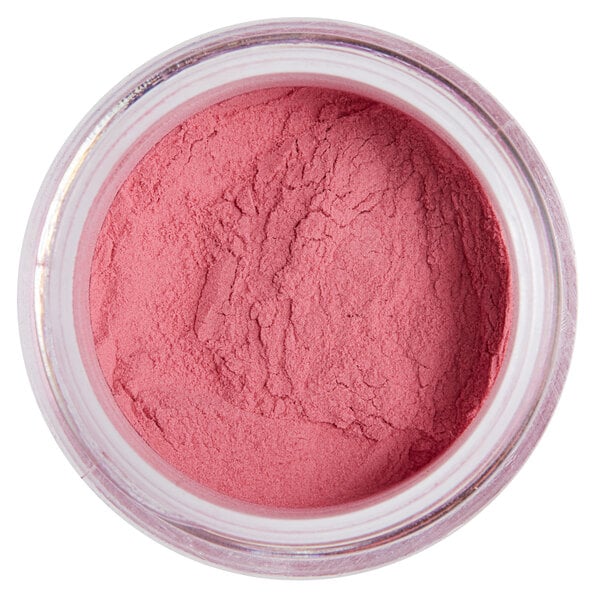 Roxy & Rich 12 Gram Neon Pink Fondust Hybrid Food Color