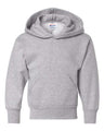 Hanes Youth EcoSmart Hooded Sweatshirt