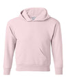 Ecosmart® Youth Hooded Sweatshirt