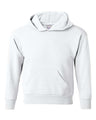 Hanes Youth EcoSmart Hooded Sweatshirt