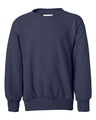 Hanes Youth EcoSmart Crewneck Sweatshirt