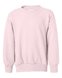 Ecosmart Youth Crewneck Sweatshirt