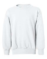 Hanes Youth EcoSmart Crewneck Sweatshirt