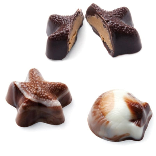 Seashell Continental Chocolate Mold - MM0065