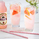 Reading Soda Works Citrus Twist 12 fl. oz. - 12/Case