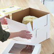 12 x 12 x 12" White Bakery Boxes with Window Pastry Boxes for Tall and Heavy Cakes