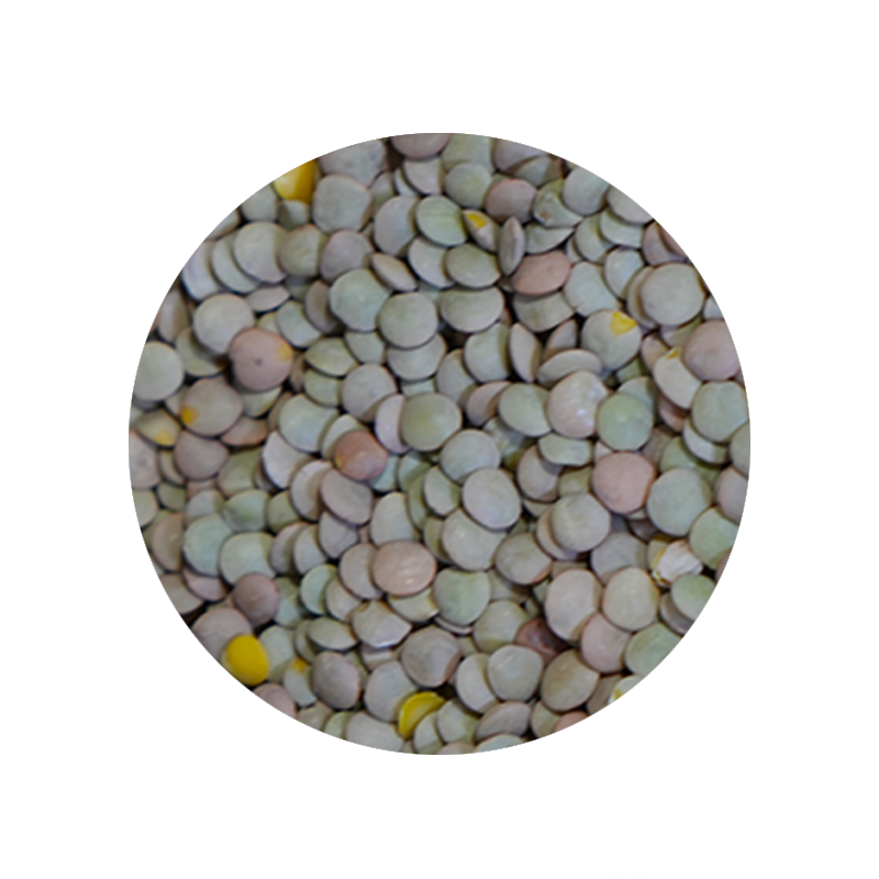 Bulk Foods - Lentils - Bulk Bin 1641 (25 pounds)