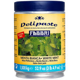 Fabbri Delipaste 1.5 kg White Mint Flavoring Paste