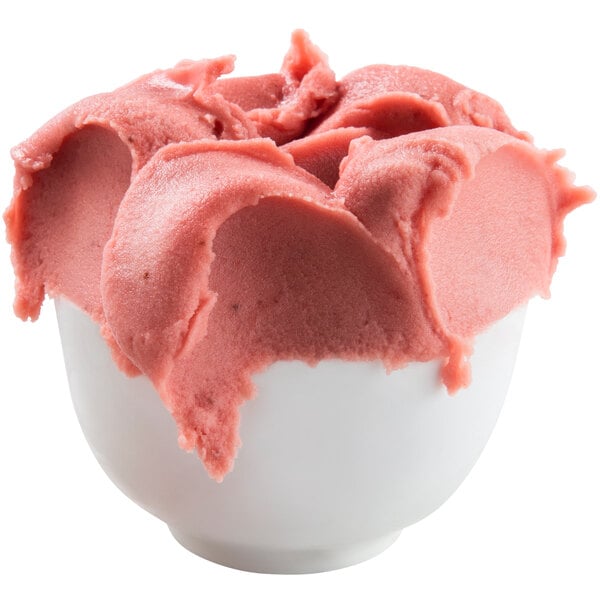 Fabbri Morbifrutta 1 kg Gelato / Sorbet Base