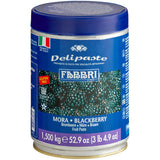 Fabbri Delipaste 1.5 kg Blackberry Flavoring Paste