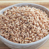 Del Destino 25 lb. Semi-Pearled Farro