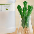 LorAnn Oils 1 Gallon Green Apple Super Strength Flavor