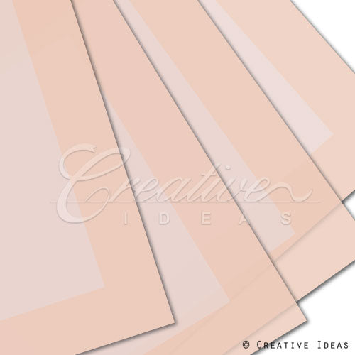 22" X 22" Bold Border Floral Wrap-20 Pcs (Tannnnnnn)