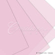 22" X 22" Translucent Floral Wrap-20 Pcs (Light Pink)