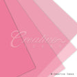 22" X 22" Translucent Floral Wrap-20 Pcs (Rose)