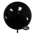 Plastic Balloon GEMS Raven Black 22 Inch