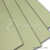 22.8" X 22.8" Solid Color Floral Wrap-20 Pcs (Mint Green)
