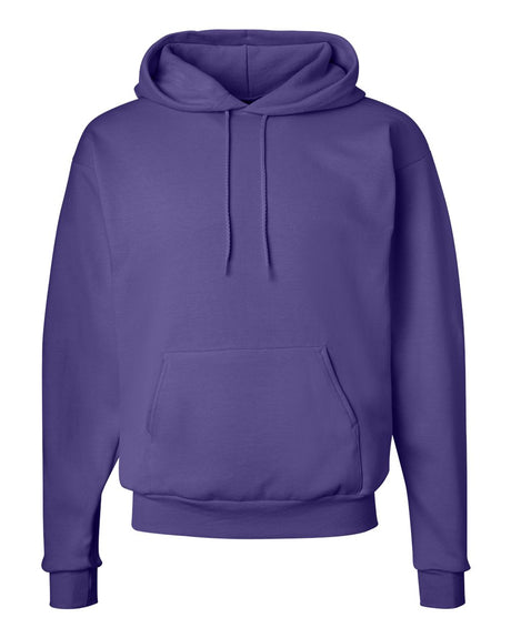 Hanes® Ecosmart Long Sleeve Hooded Sweatshirt