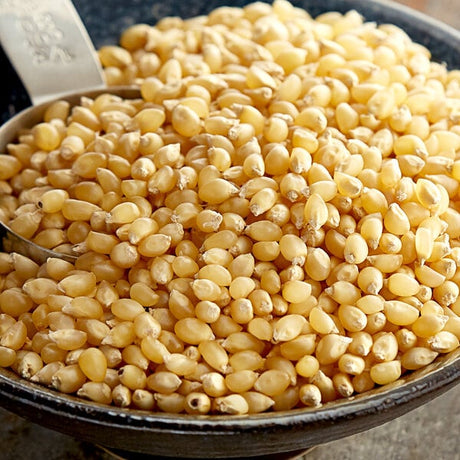 Reist HI-POP Organic Butterfly Popcorn Kernels 50 lb.