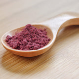 Rainforest Supply Blueberry Powder 11 lb.