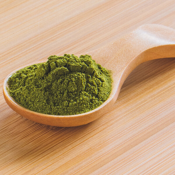 Rainforest Supply Moringa Powder 5 lb.