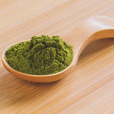 Rainforest Supply Moringa Powder 5 lb.