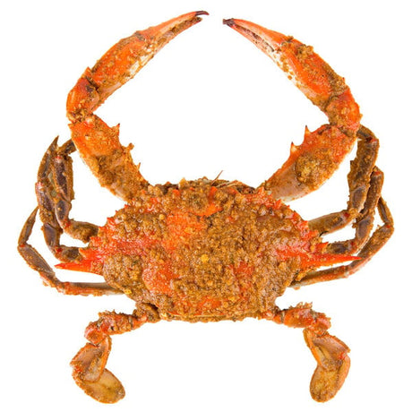 Chesapeake Crab Connection Large/Extra Large 6" - 7" Extra Seasoned Steamed Blue Crab - 1/2 Bushel