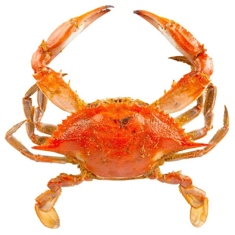Chesapeake Crab Connection Large/Extra Large 6" - 7" Lightly Seasoned Steamed Blue Crab - 1 Bushel