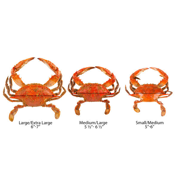 Chesapeake Crab Connection Large/Extra Large 6" - 7" Extra Seasoned Steamed Blue Crab - 1/2 Bushel
