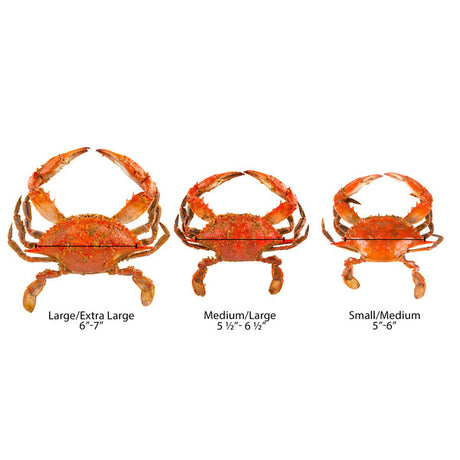 Chesapeake Crab Connection Small-Extra Large 5" - 7" Extra Seasoned Steamed Female Crab - 1 Bushel