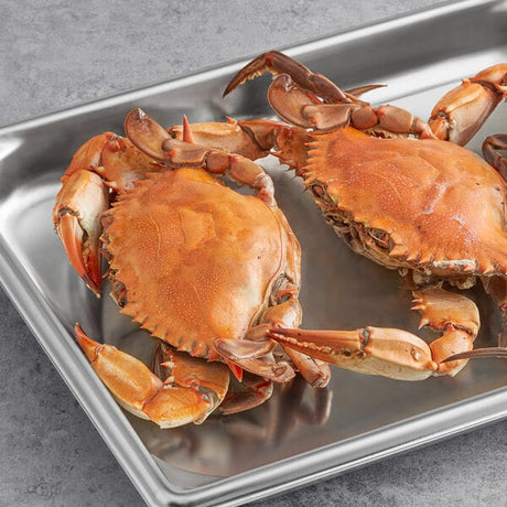 Chesapeake Crab Connection Large/Extra Large 6" - 7" Non-Seasoned Steamed Female Blue Crab - 12/Case