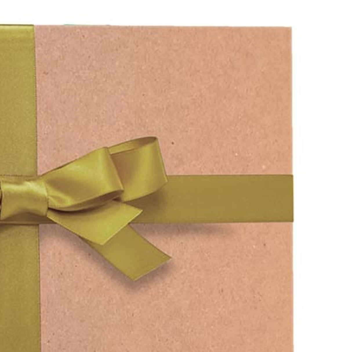 Dynamic Solid Color Paper 30" x 417' 60 lbs for Bold Statements