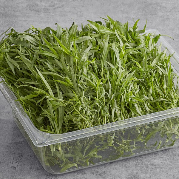 Tarragon 2.2 lb.