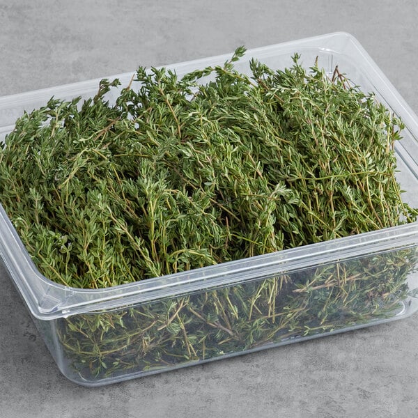 Thyme 2.2 lb.