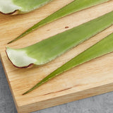 Fresh Aloe Vera Leaves 25 lb.
