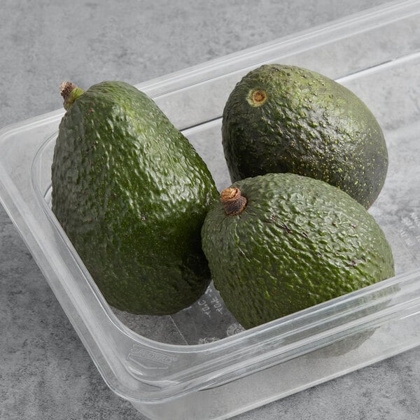 Fresh Green Skin Florida Green Avocados 25 lb.