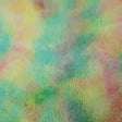 Galaxy Rich Minky Bear Fabric,